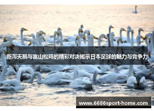 新泻天鹅与富山松鸡的精彩对决揭示日本足球的魅力与竞争力